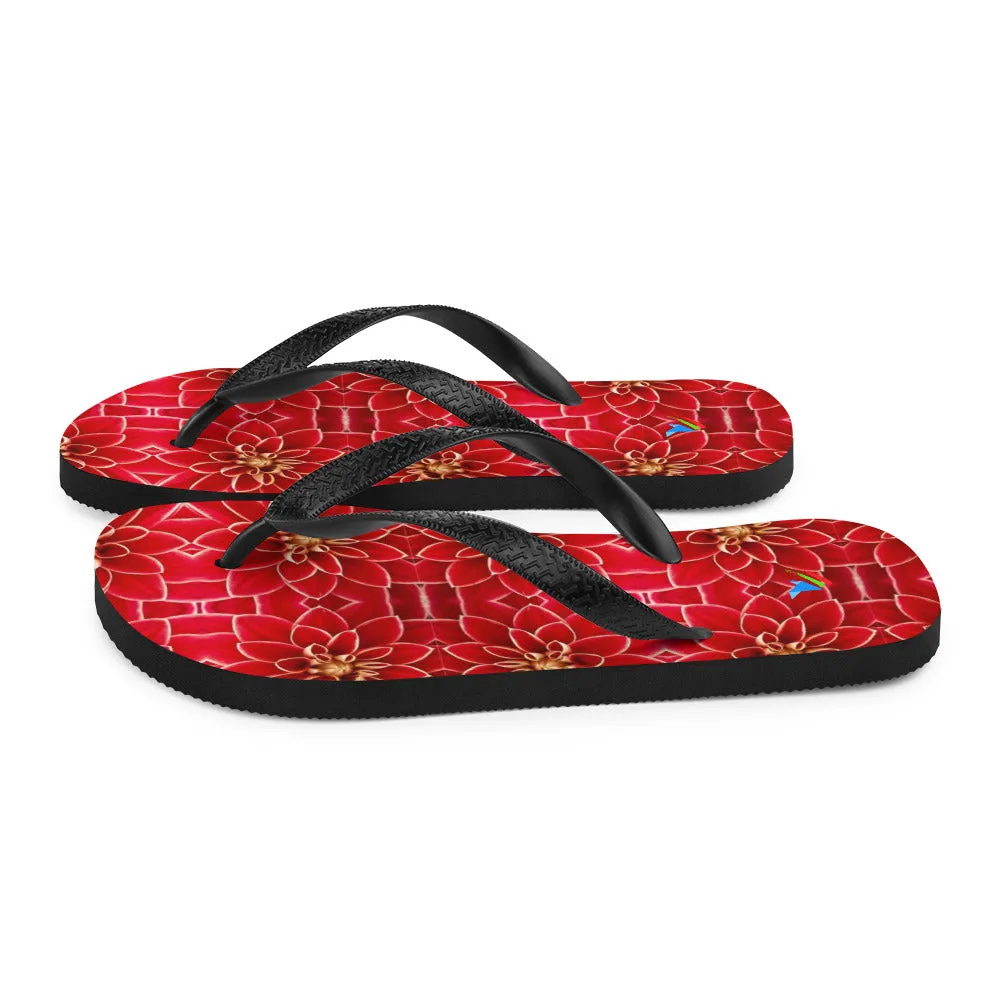 ECHO - Flip-Flops