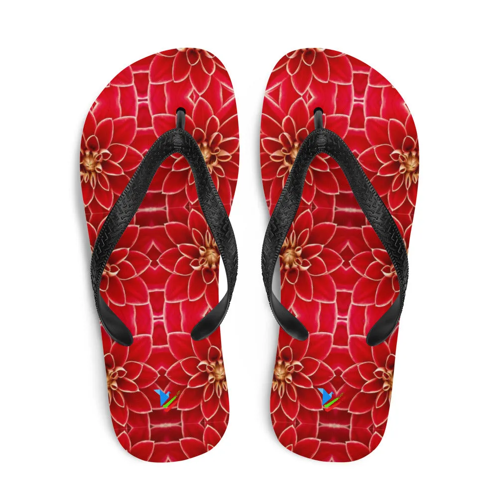 ECHO - Flip-Flops